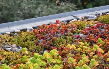 the cost of Coulnacraggan green roof installation