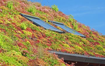 Coulnacraggan living roof systems